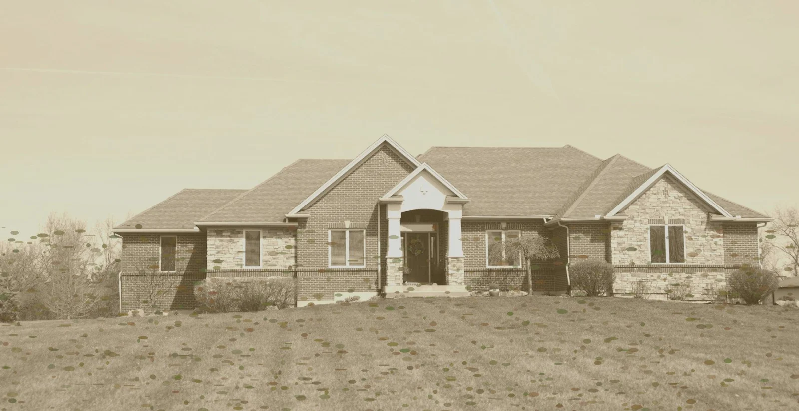 Before: Front lawn renovation (demonstration)